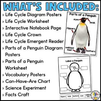 parts of a penguin diagram