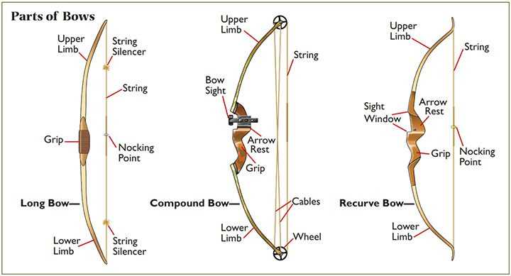 parts of a recurve bow diagram