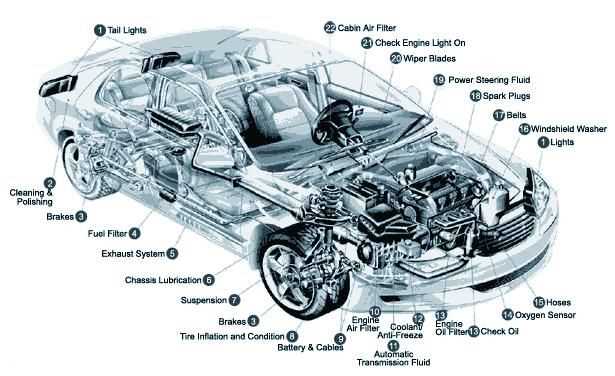 bottom of car parts diagram