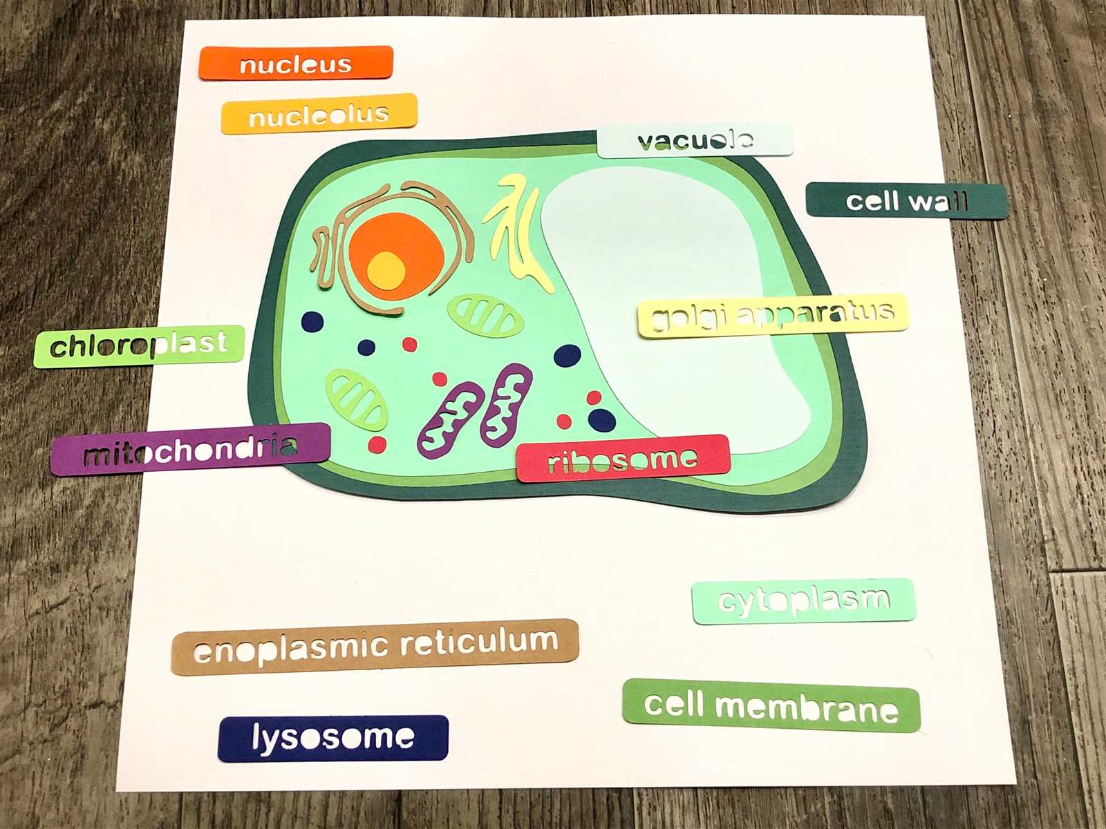 cricut parts diagram