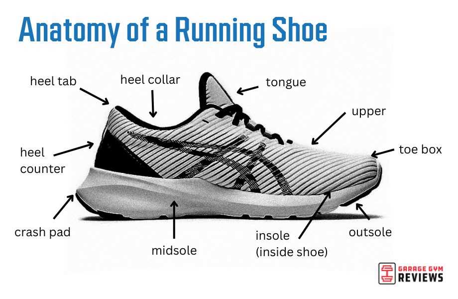 diagram parts of a shoe