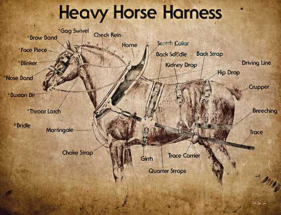 parts of a horse harness diagram