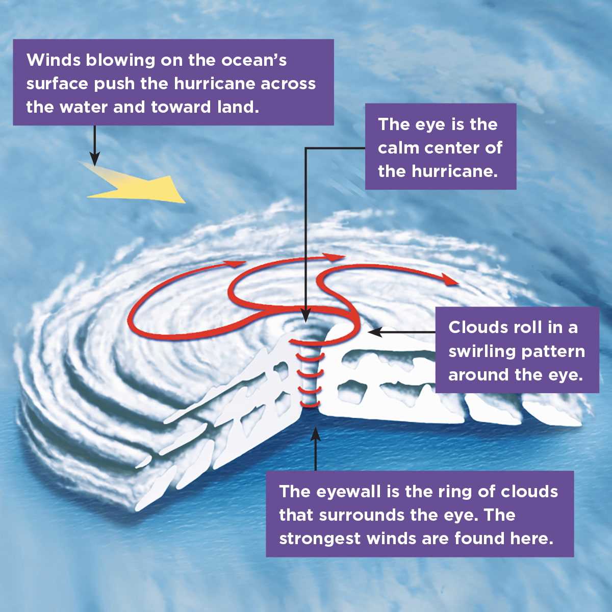 parts of a hurricane diagram