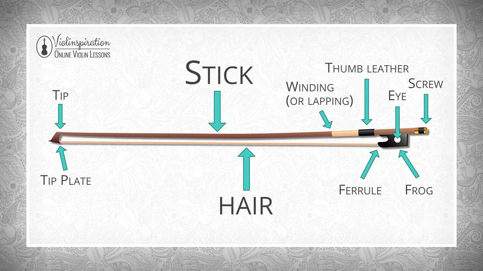 parts of a bow diagram