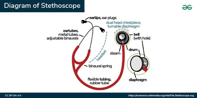 parts of a diagram