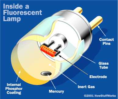 fluorescent light fixture parts diagram