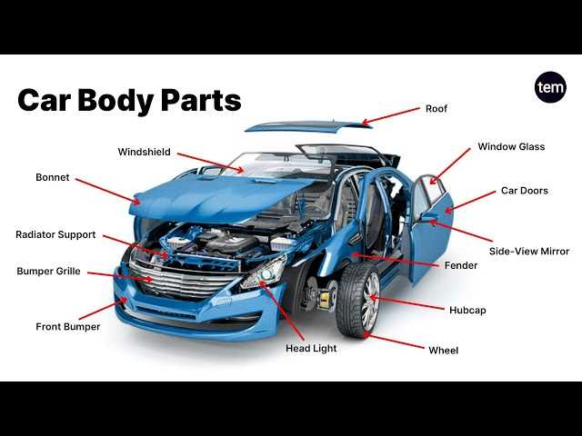 exterior car body parts names diagram