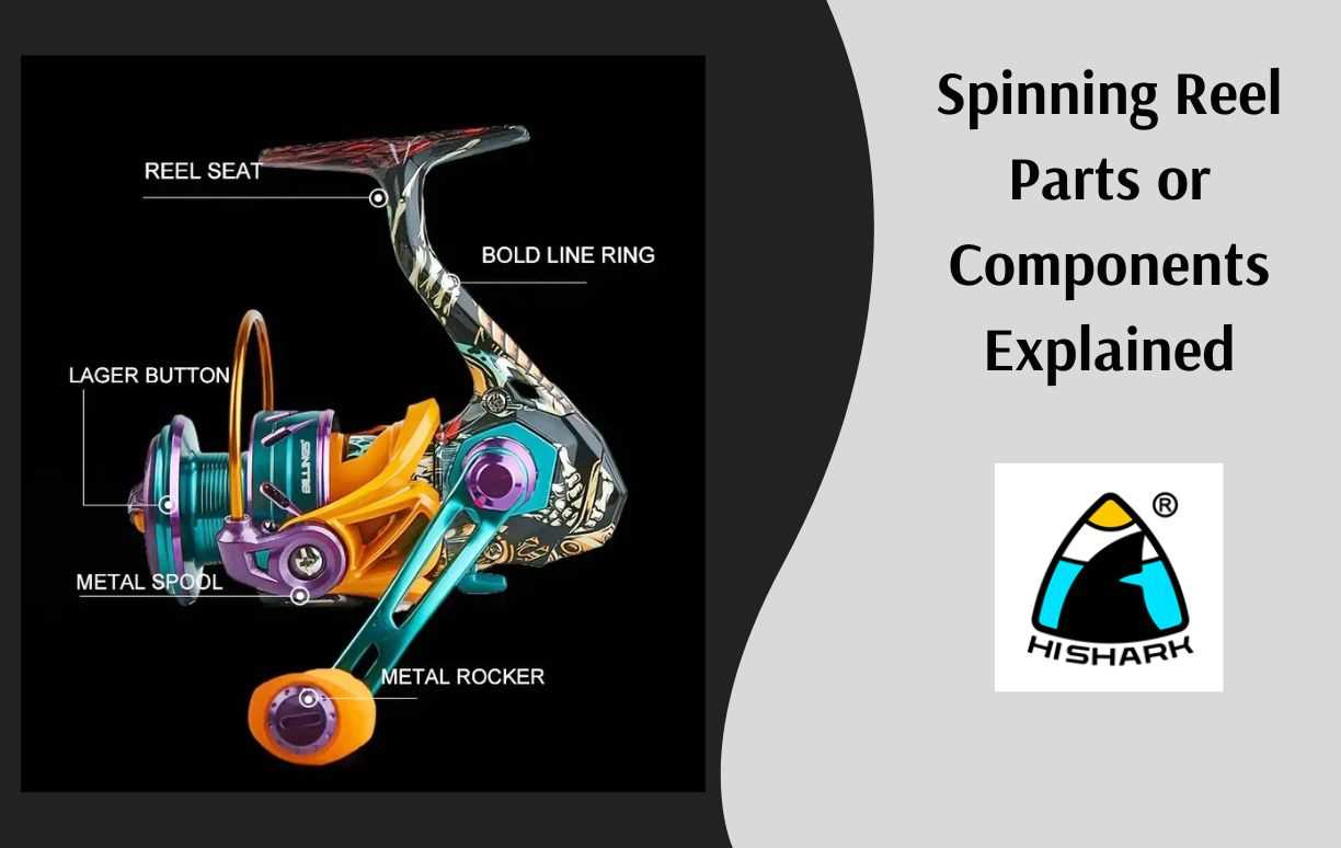 fishing reel parts diagram