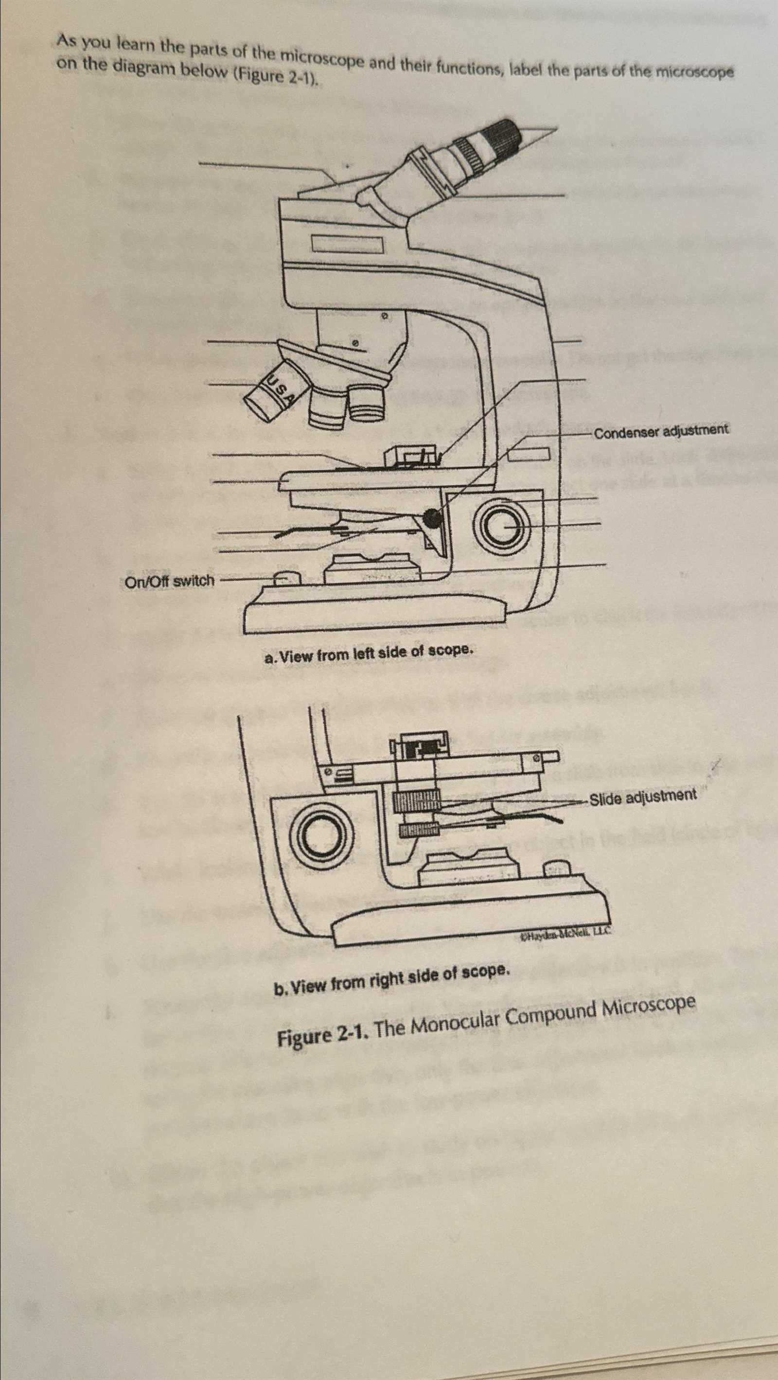 compound microscope parts diagram