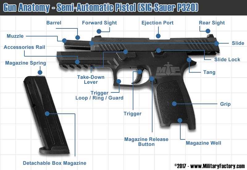 gun diagram parts