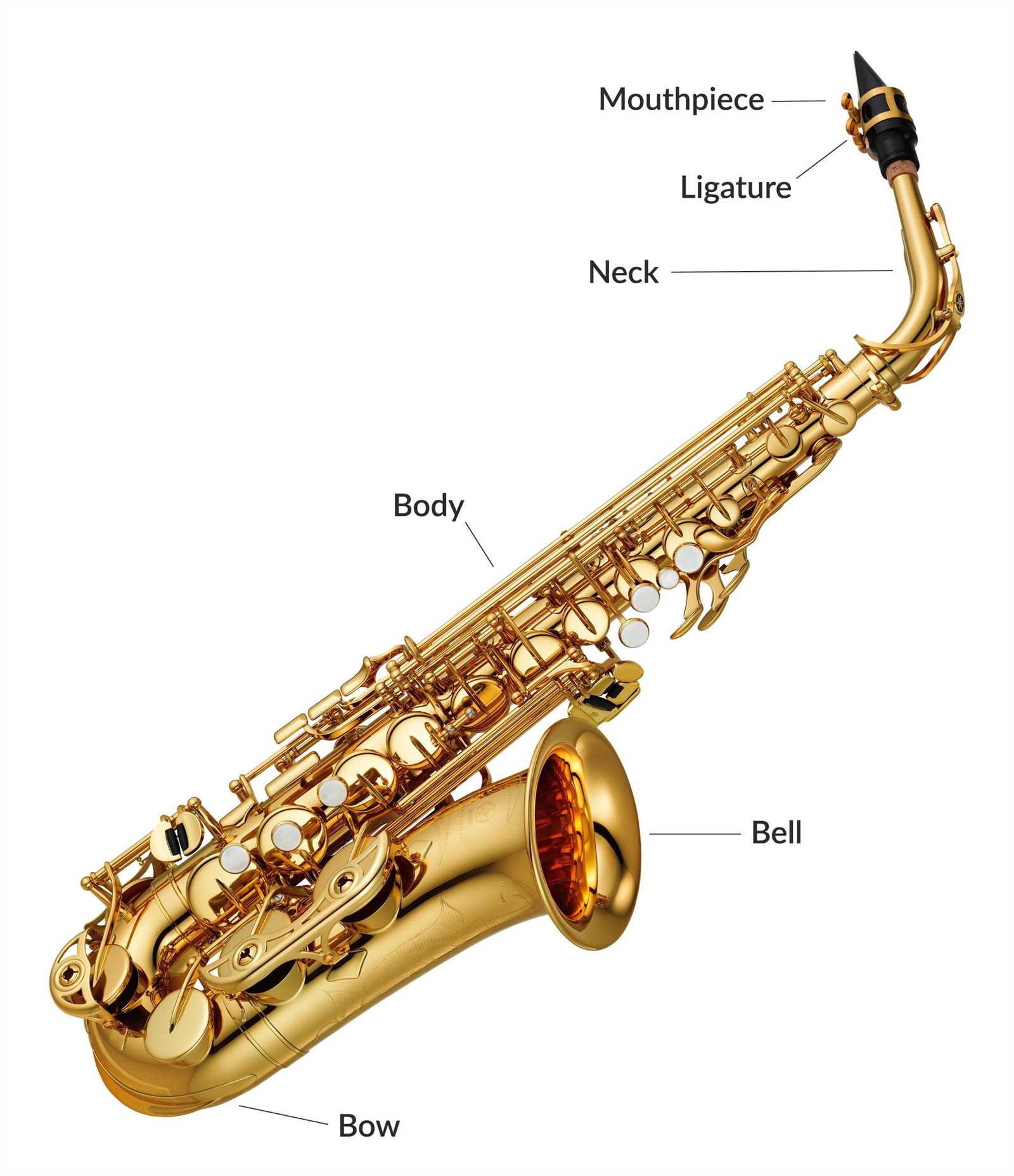 alto sax parts diagram