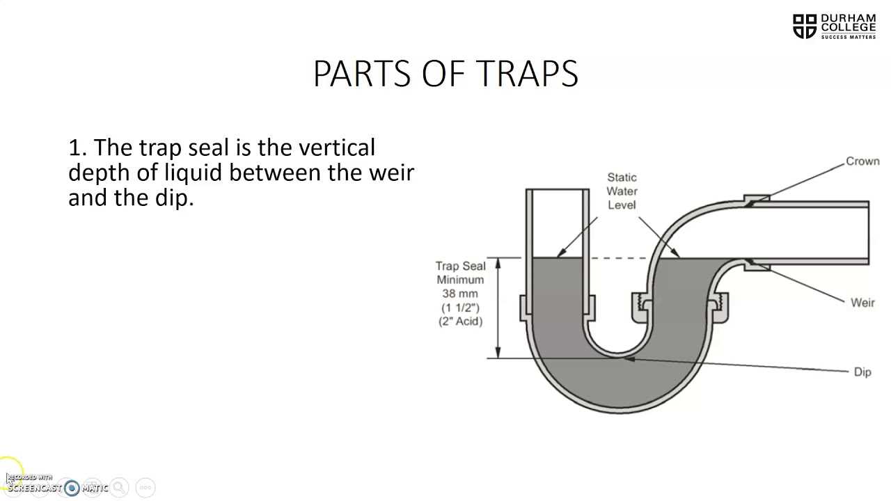 p trap parts diagram