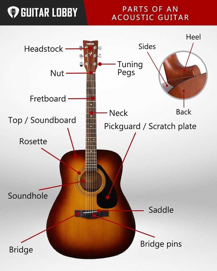 electric guitar bridge parts diagram