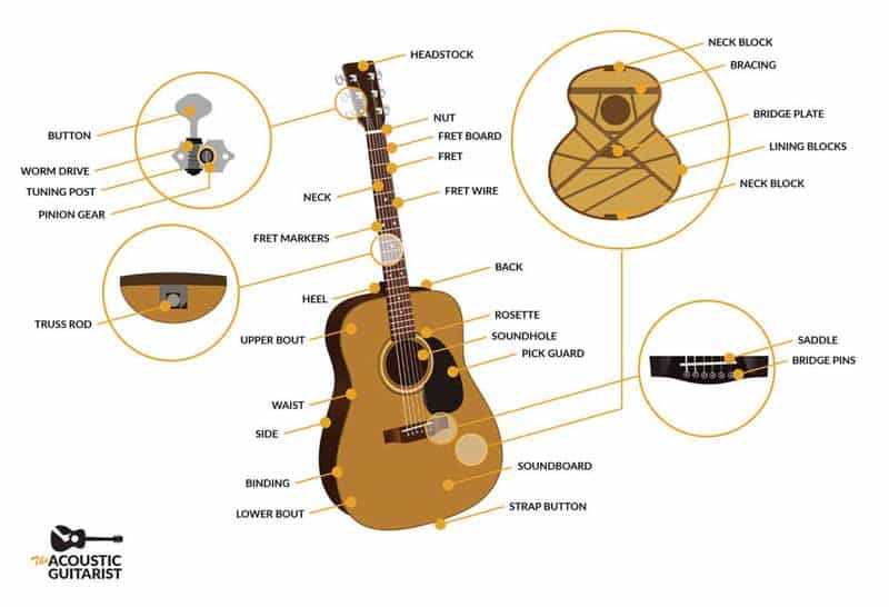classical guitar parts diagram