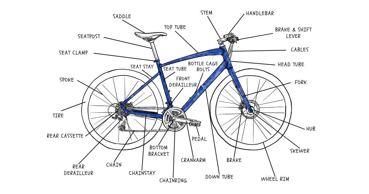 mountain bike brake parts diagram