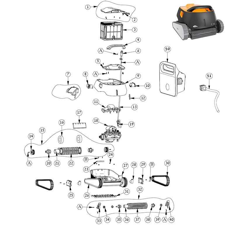 parts of a dolphin diagram