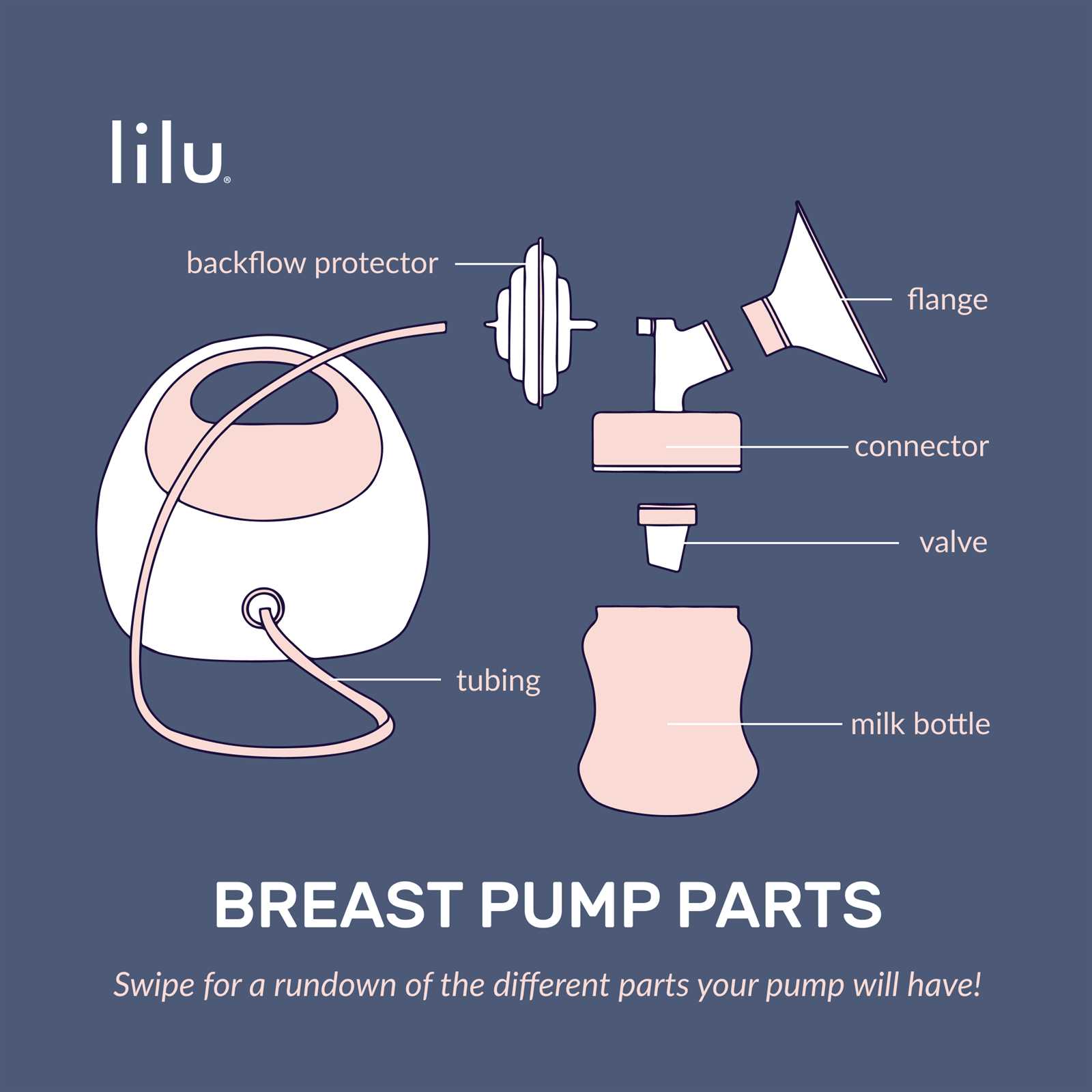 bra parts diagram