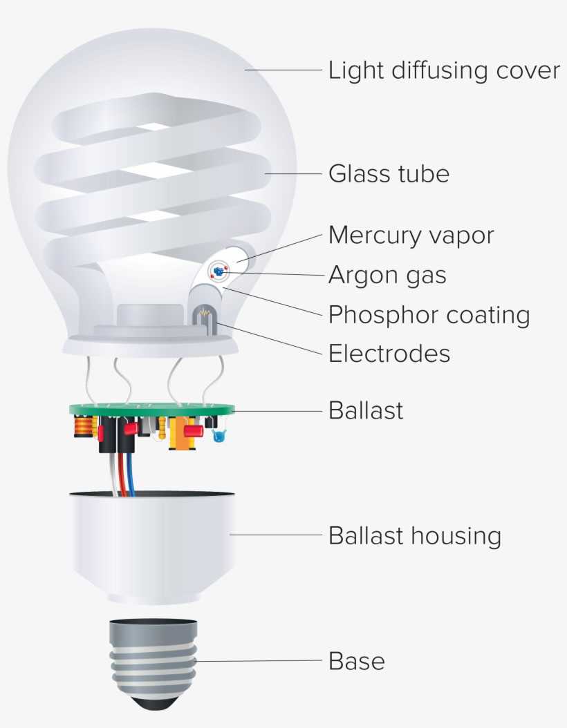 fluorescent light parts diagram