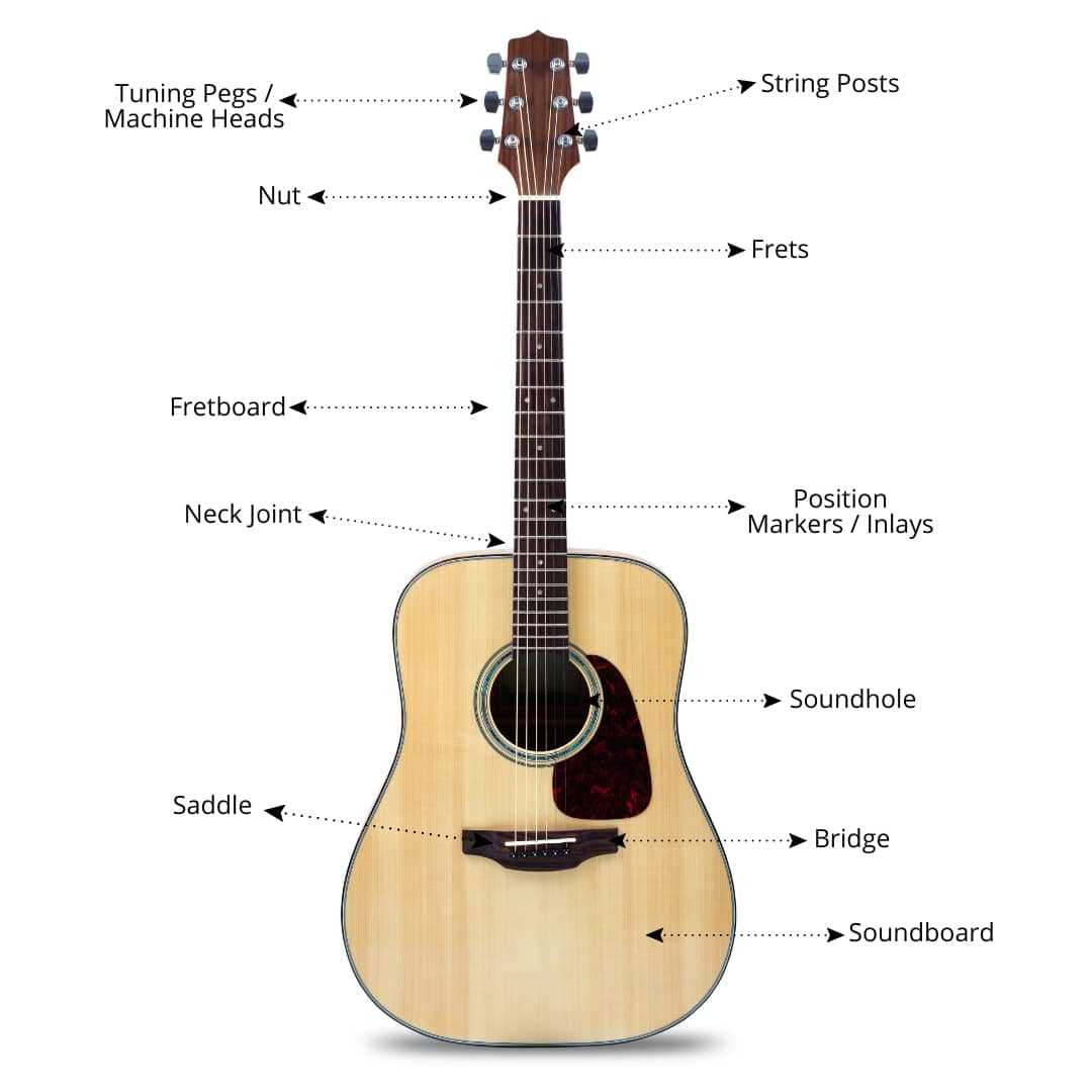 electric guitar bridge parts diagram