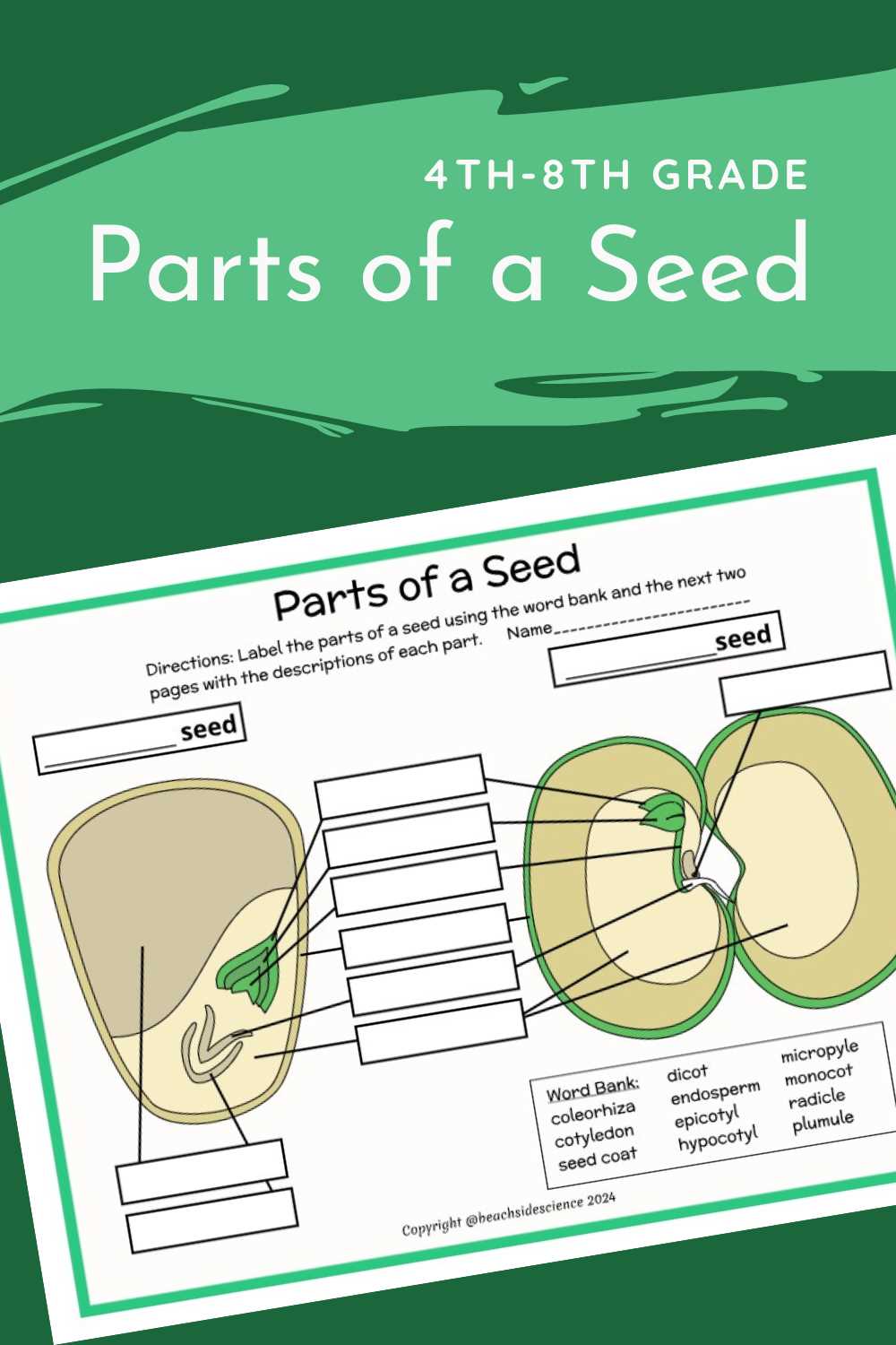 diagram parts of a seed