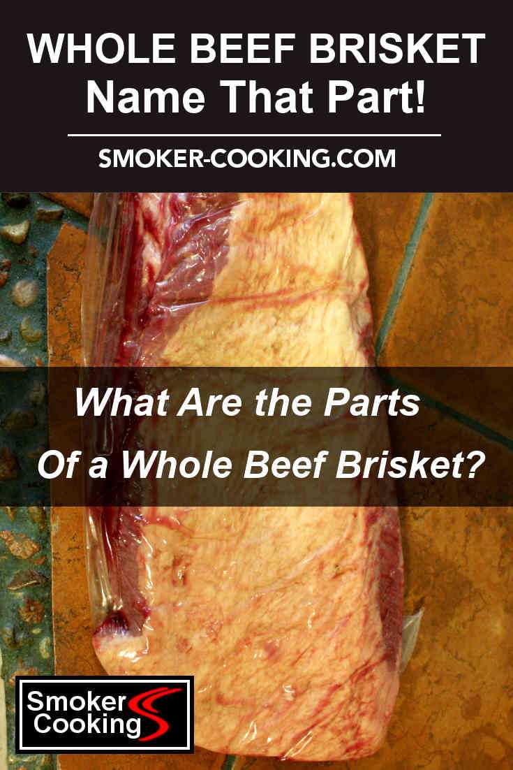 parts of a brisket diagram