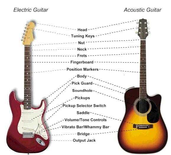 les paul guitar parts diagram