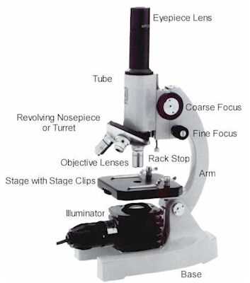 compound microscope parts diagram