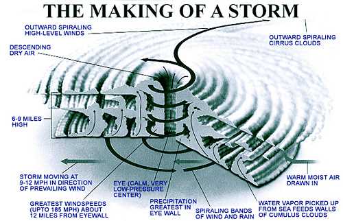 parts of a hurricane diagram