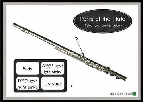 flute parts diagram