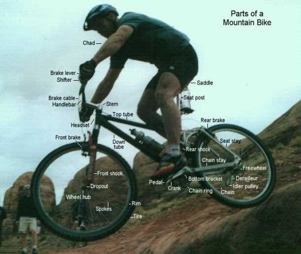 bike parts diagram bottom bracket