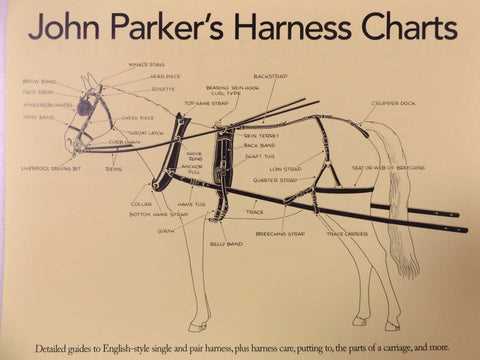 parts of a horse harness diagram