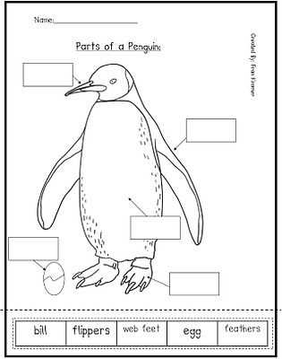 parts of a penguin diagram