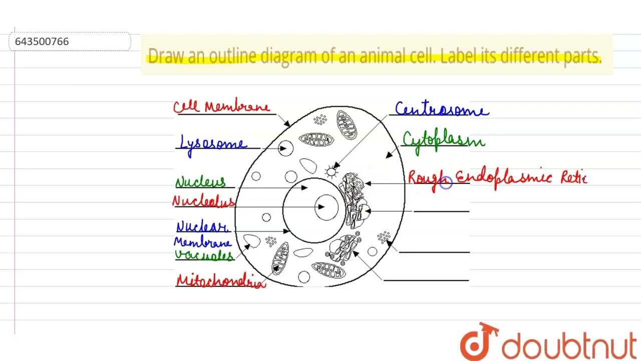 parts of a cell diagram labeled