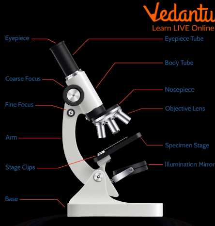 diagram of a microscope and functions of its parts